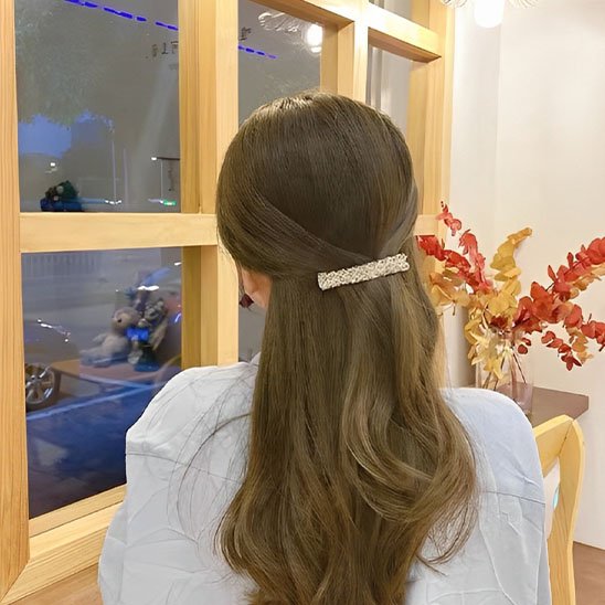 Barrette cheveux
