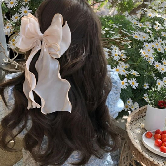 Barrette cheveux 