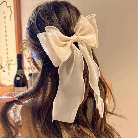 Barrette cheveux 